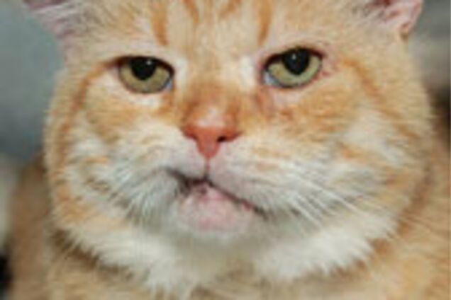 Куди заховати заначку?