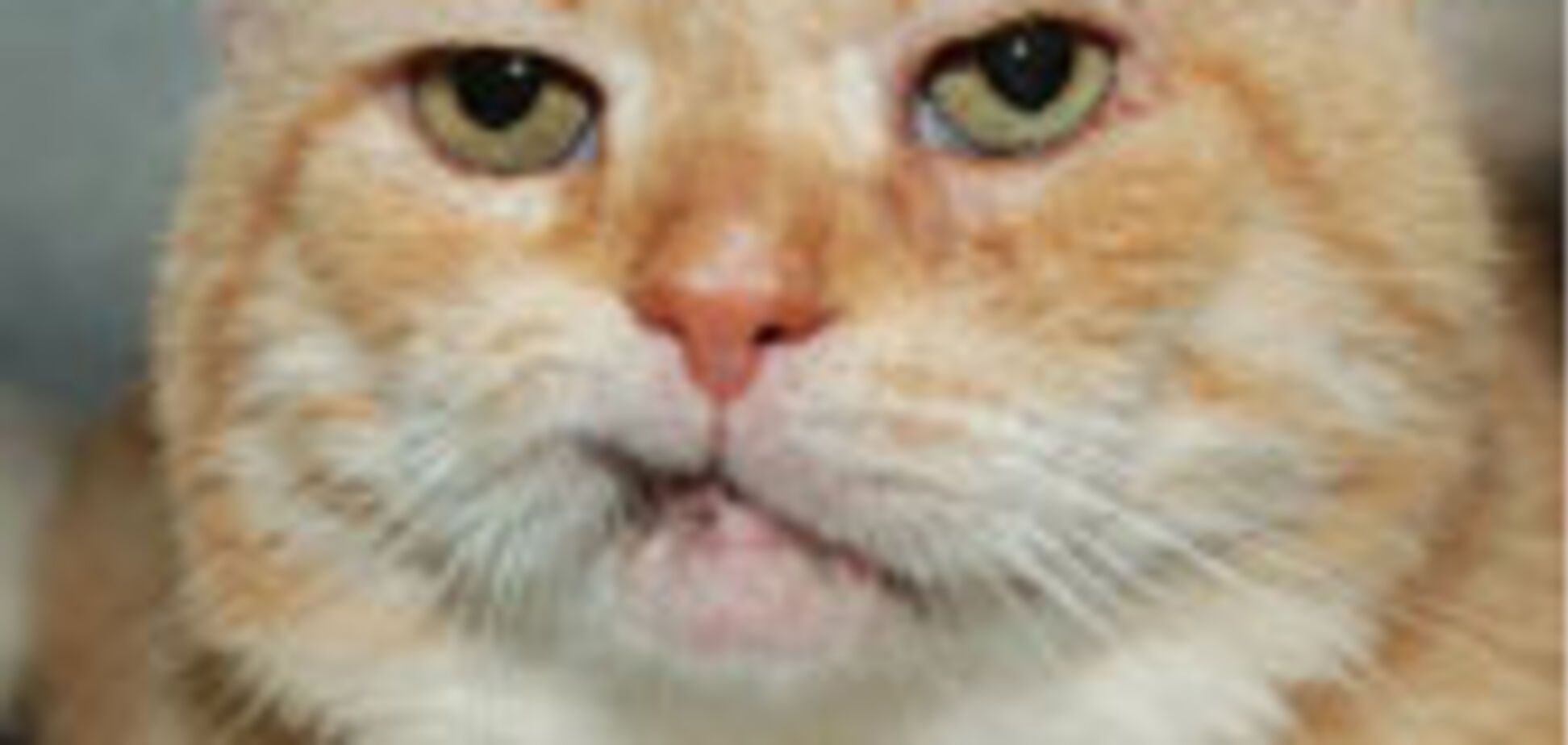 Куди заховати заначку?