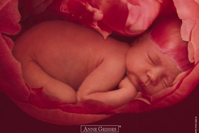 Детки в ботинке и в цветах. Анне Геддес и ее дети