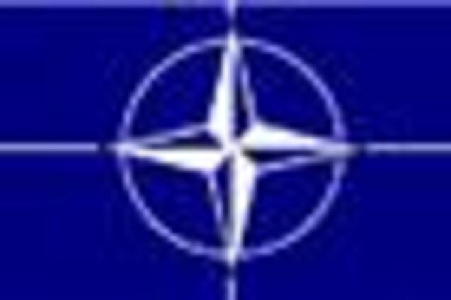 БЮТ ждет референдума по НАТО 'лет через десять'