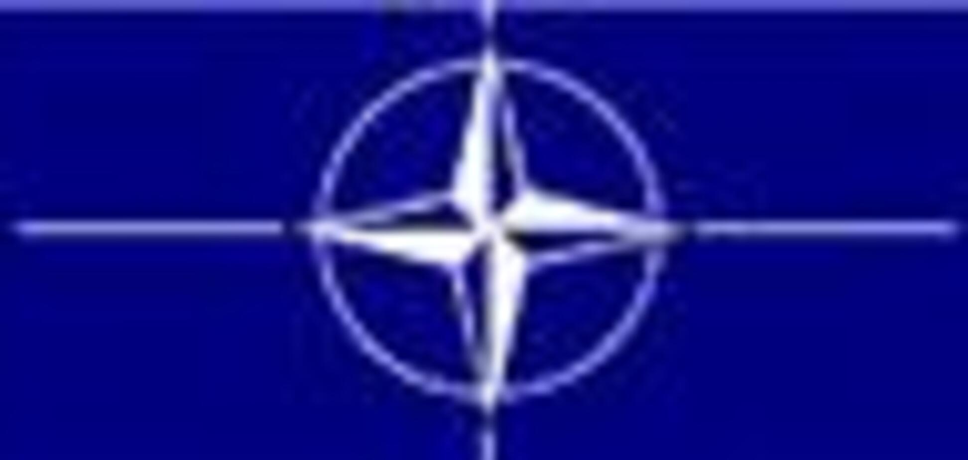 БЮТ чекає референдуму по НАТО 'років через десять'