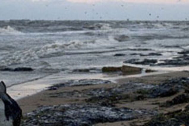 Люди Тимошенко готують курортний сезон