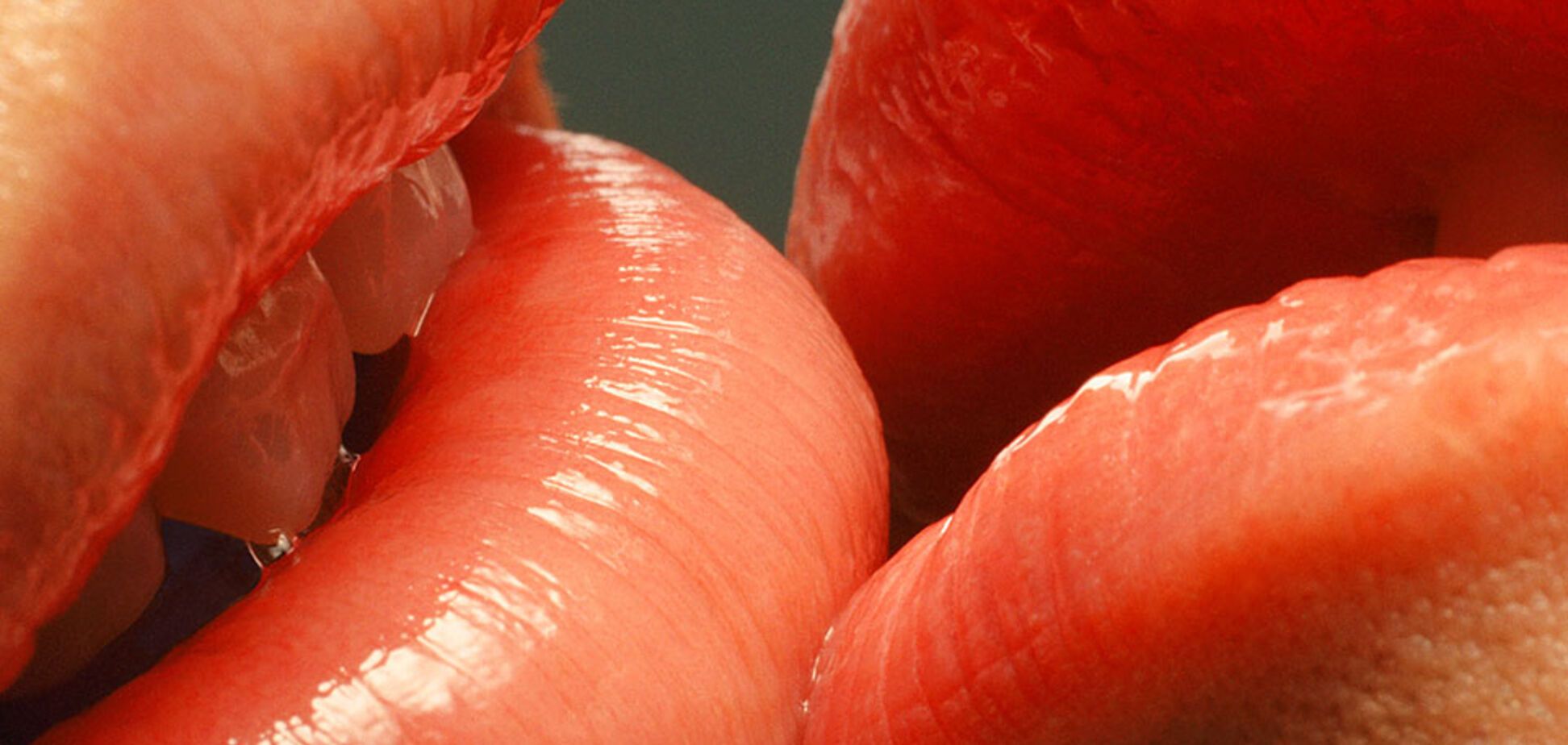 Tim Flach,его лошади, губы, эмбрионы и свиньи крупным планом