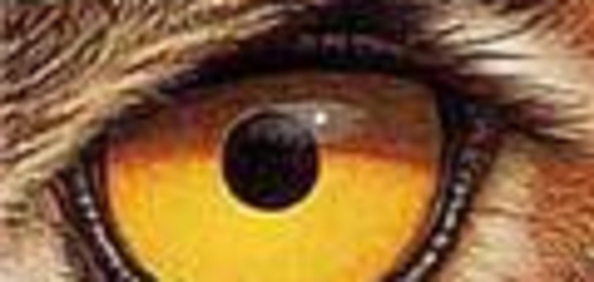 От спартанцев до сов на тропе войны