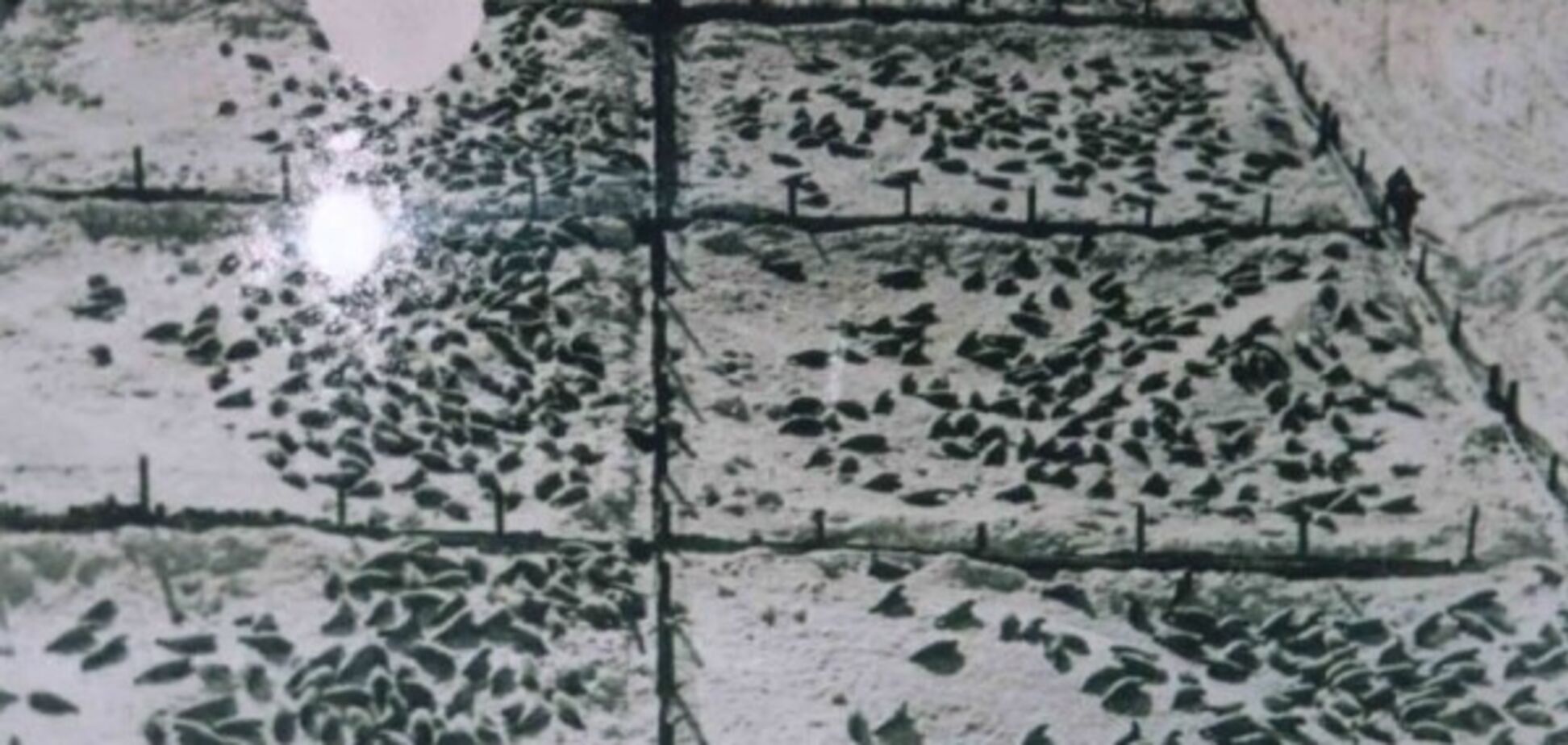 Жесть. Убийство одномесячных детей рыболовными баграми...