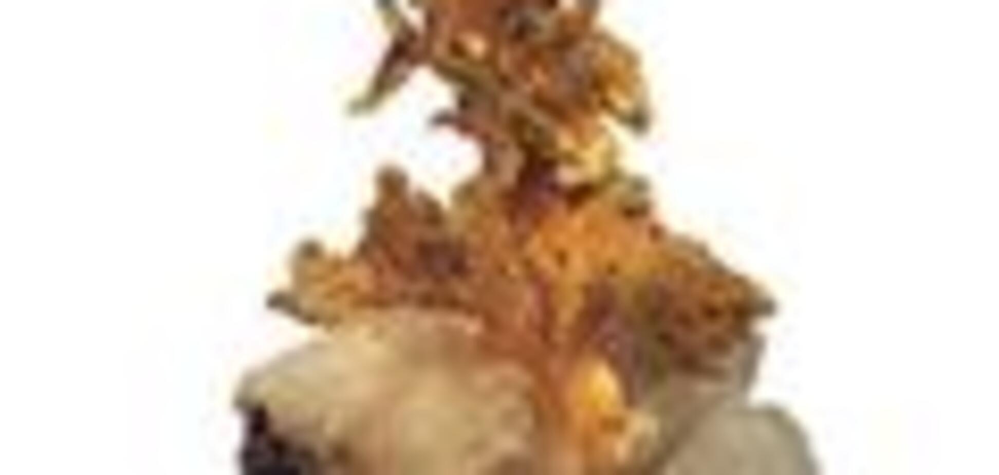 Бабушки Швеции получили $3 млн за найденное золото