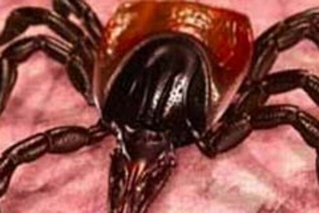 Как защитить себя от клещей