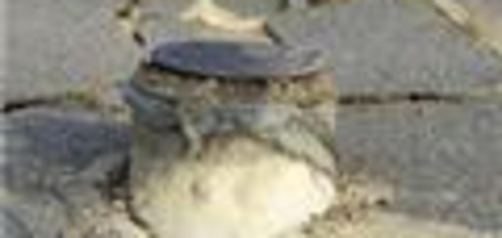 Китайський землетрус дійшло до Канарських островів