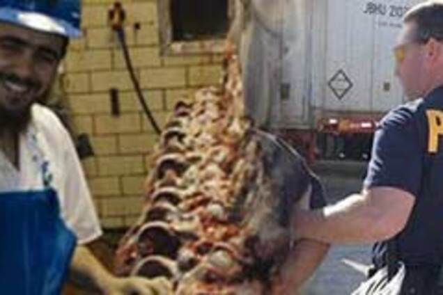 В США арестованы кошерные украинские наркодилеры