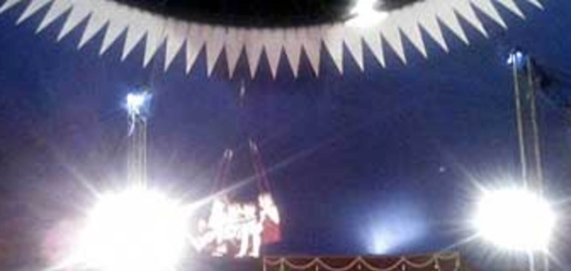 В Луганске из-под купола цирка упал ребенок