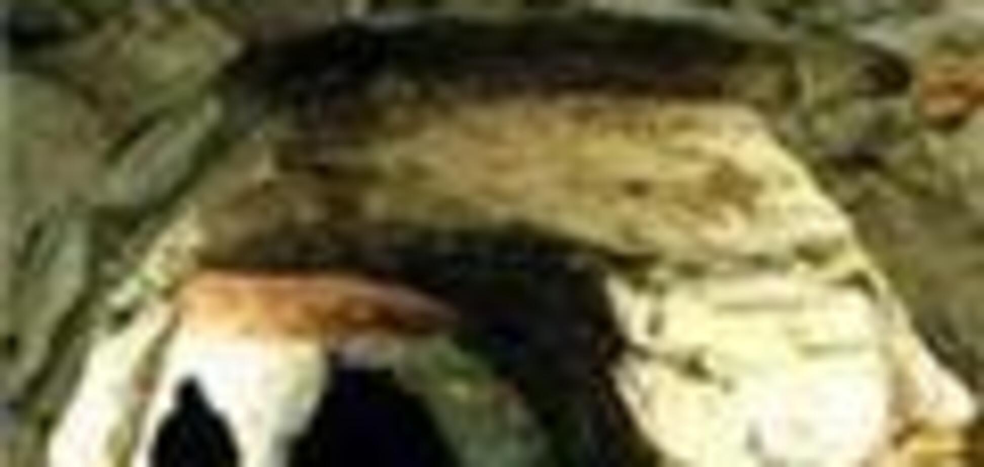 В пещере пензенских сектантов настал конец света