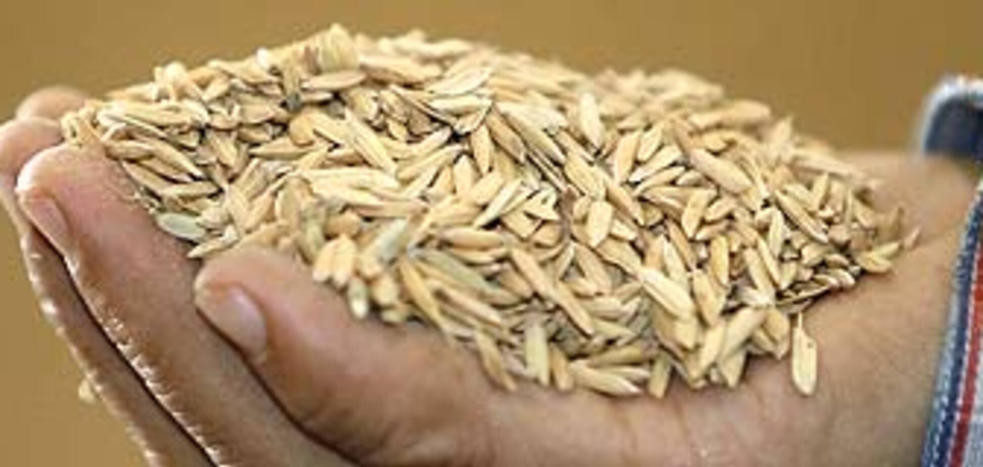 Правительство отменило квоты на экспорт зерна