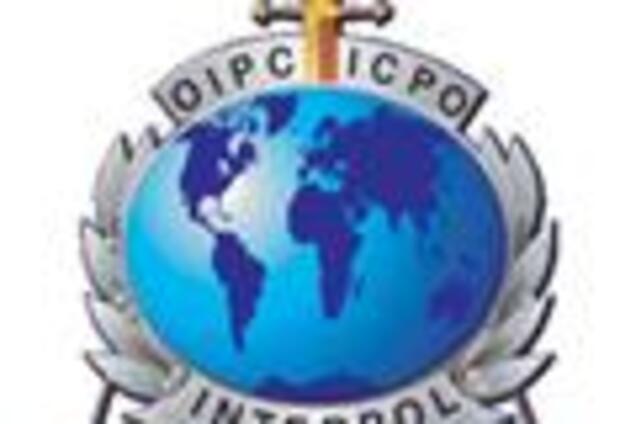 Интерпол научился ловить педофилов за два дня