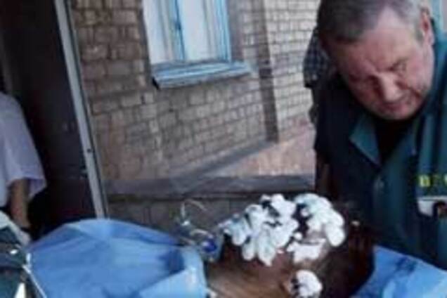 Разговоры о женщинах помогали шахтерам держаться под землей
