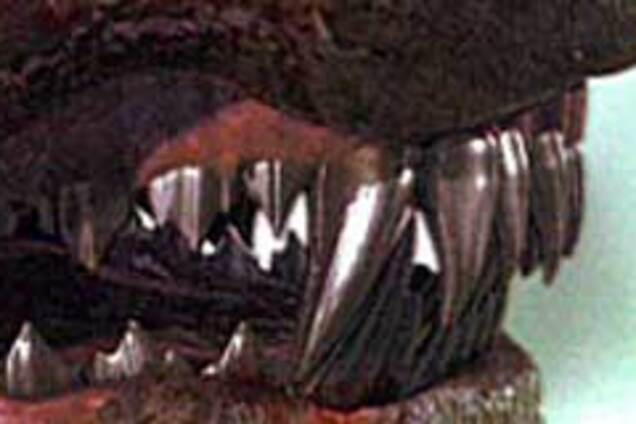 Ротвейлер искусал двухлетнего ребенка на руках у матери