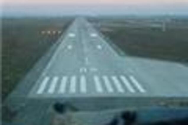 Нашествие шакалов и варанов парализовало аэропорт в Нью-Дели