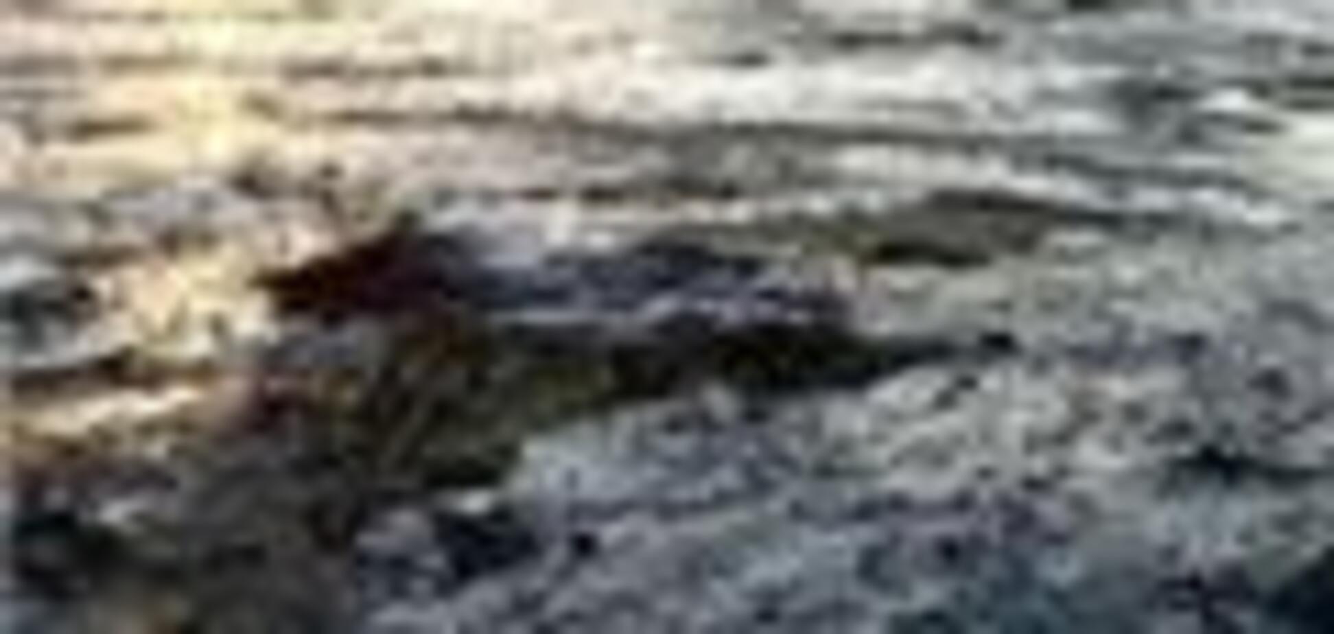 В порту Петербурга разлили 5 тонн нефтепродуктов