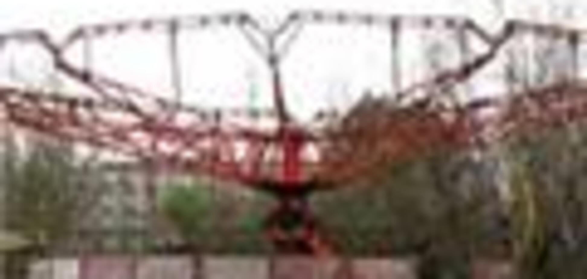 В Швеции упала карусель 'Радуга', пострадали 40 человек