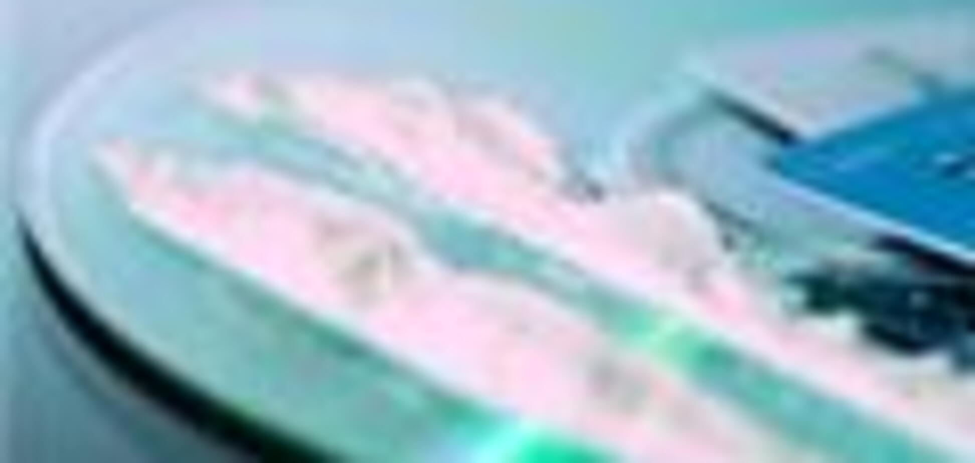 Полиция Испании изъяла партию кокаина на 200 млн евро