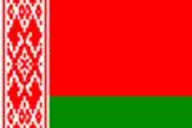 В Беларуси начали выдвигать кандидатов в депутаты