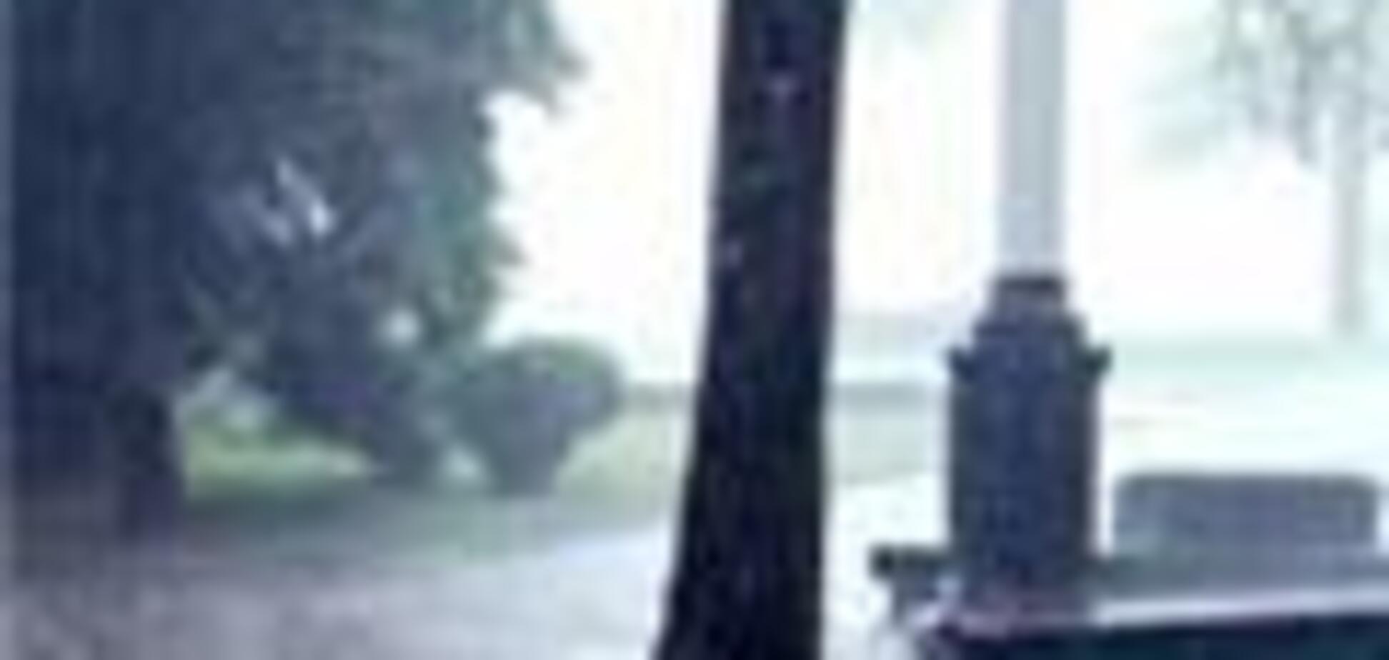 Більше 300 жертв стихії евакуювали в Закарпатті