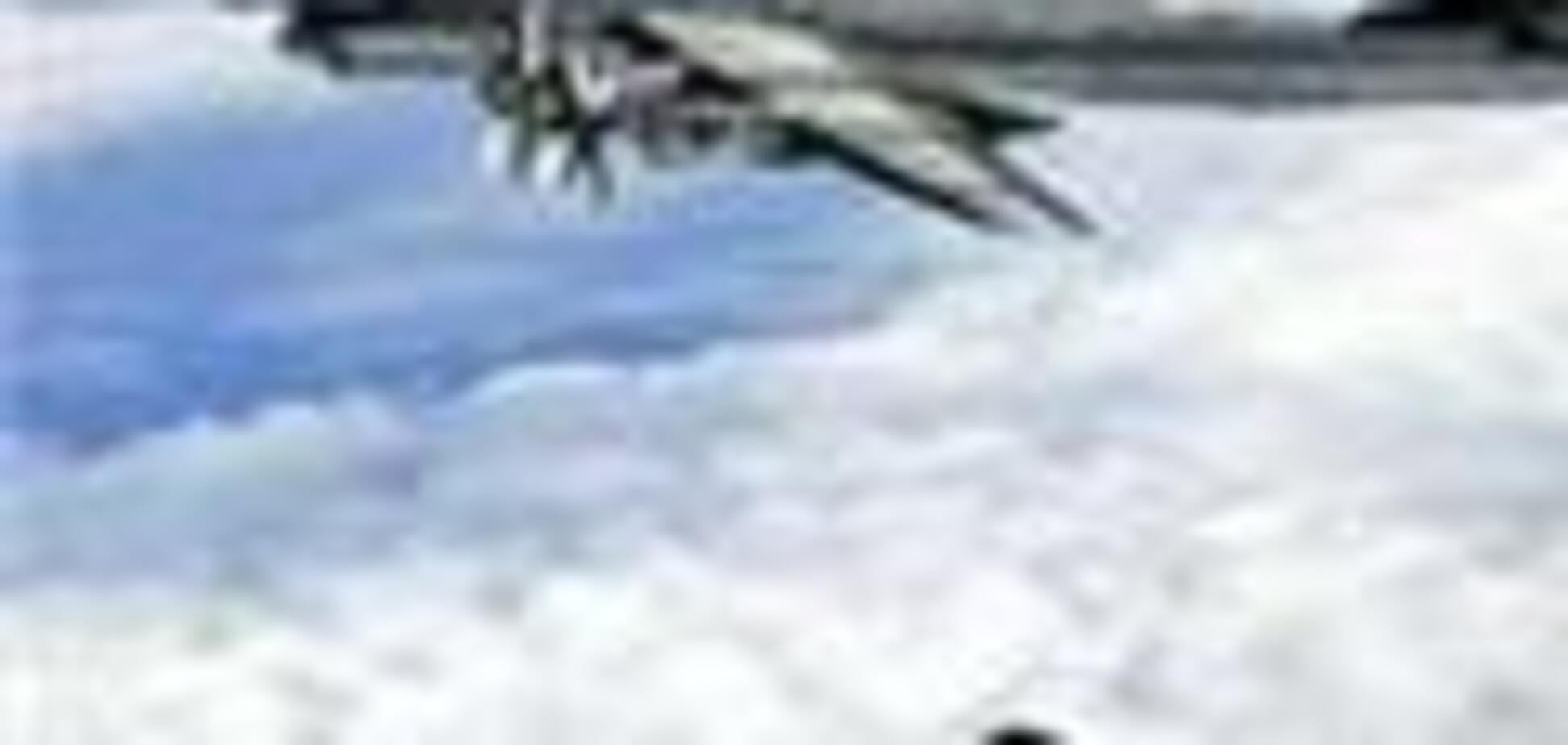 Митниця не дала бізнесмену вкрасти літак