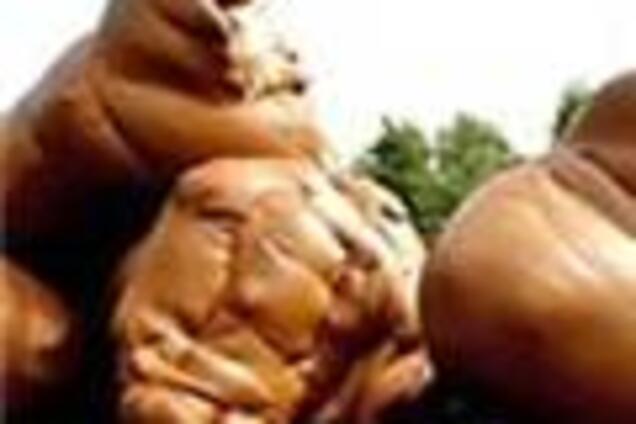 Собачьи фекалии взлетели, разбили окно и приземлились