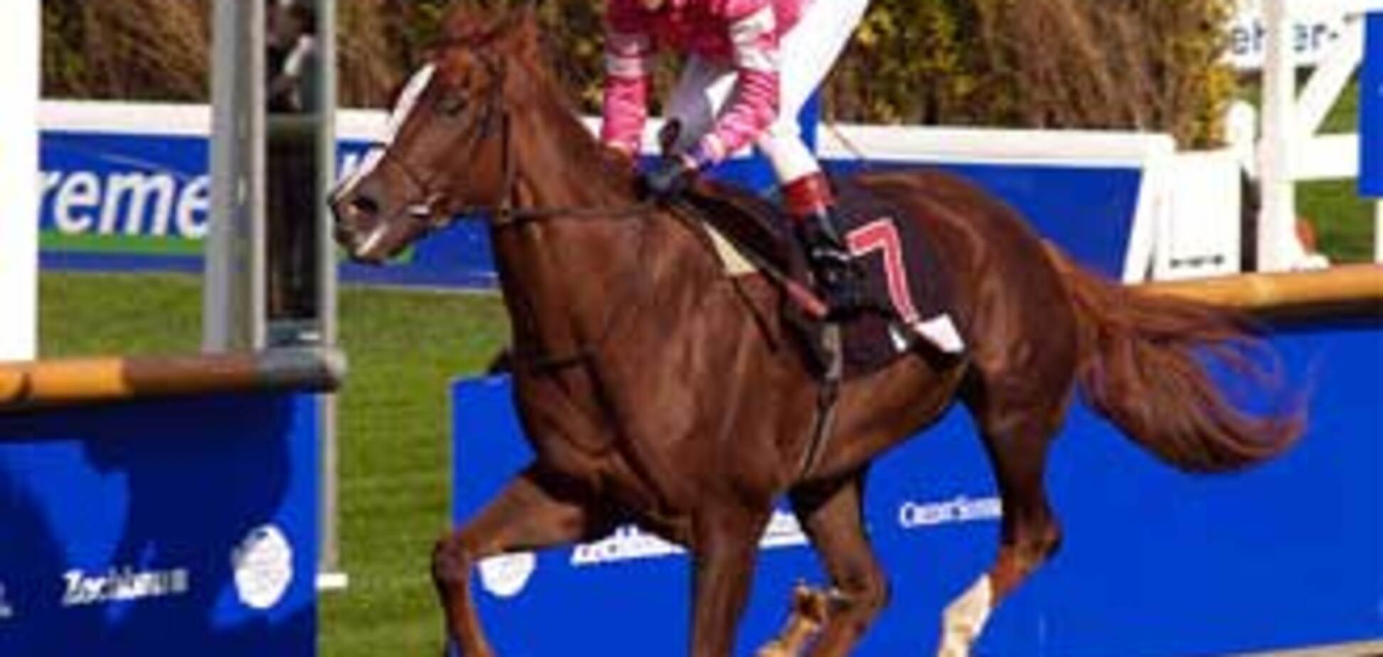 Медведев пригласил Ющенко на скачки