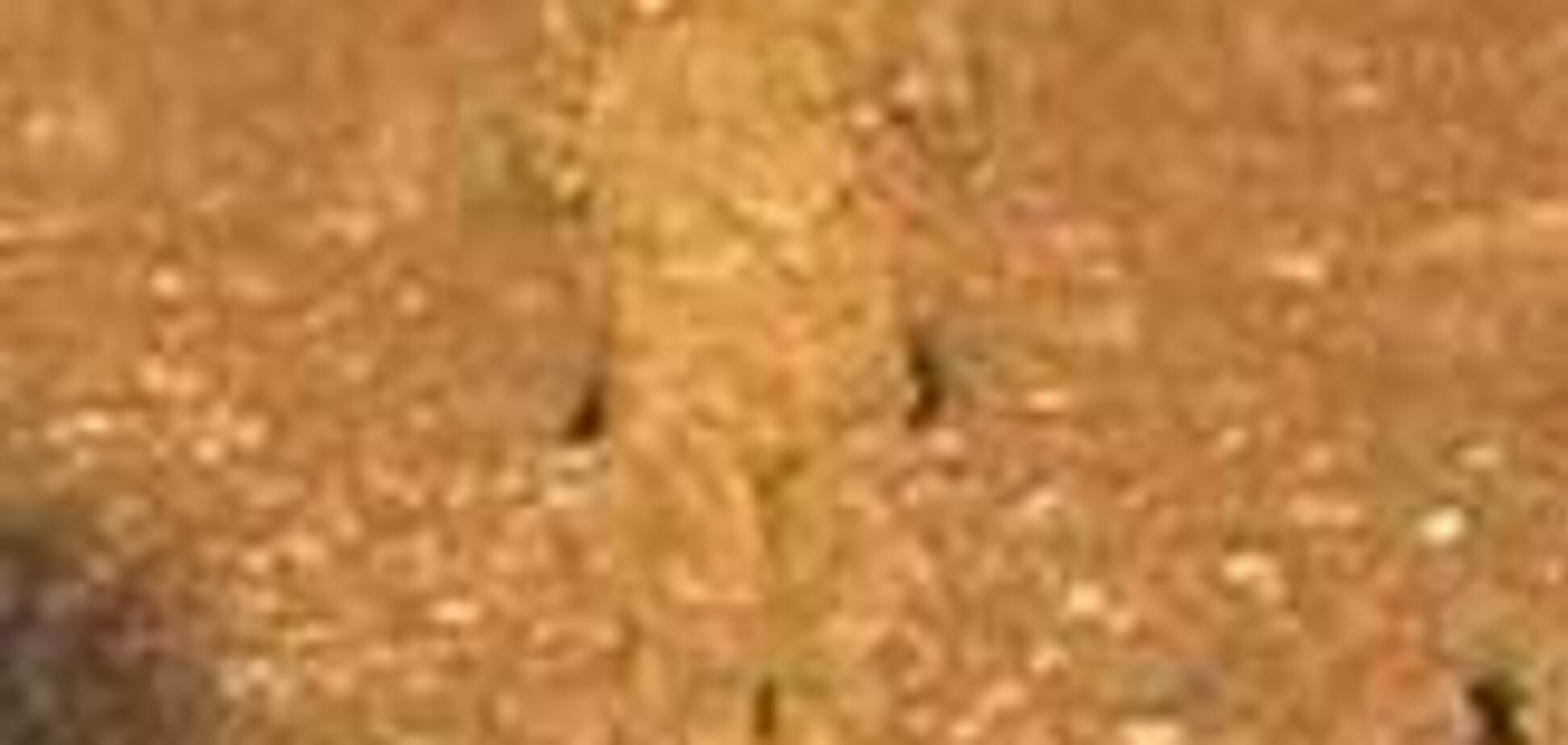 Знайди на фото солдата! Перевіряємо зір і спостережливість