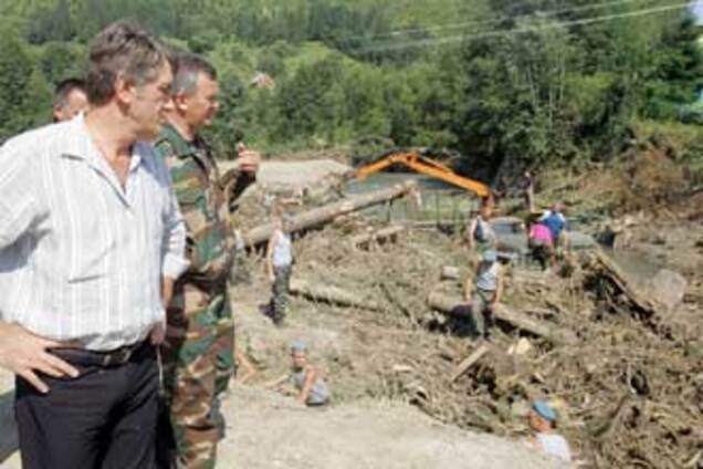 Президент вимагає за місяць розібратися з лісами Прикарпаття