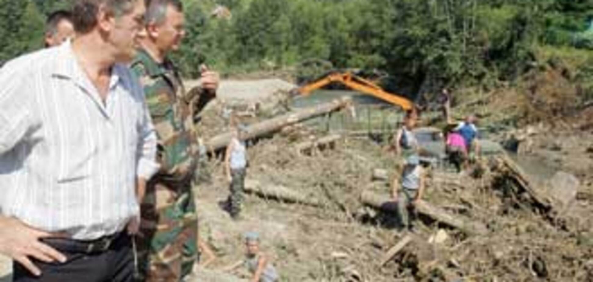 Президент вимагає за місяць розібратися з лісами Прикарпаття