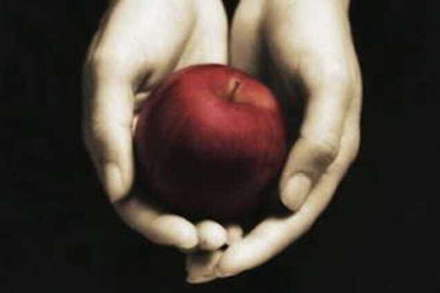 Пираты похитили вампирскую книгу