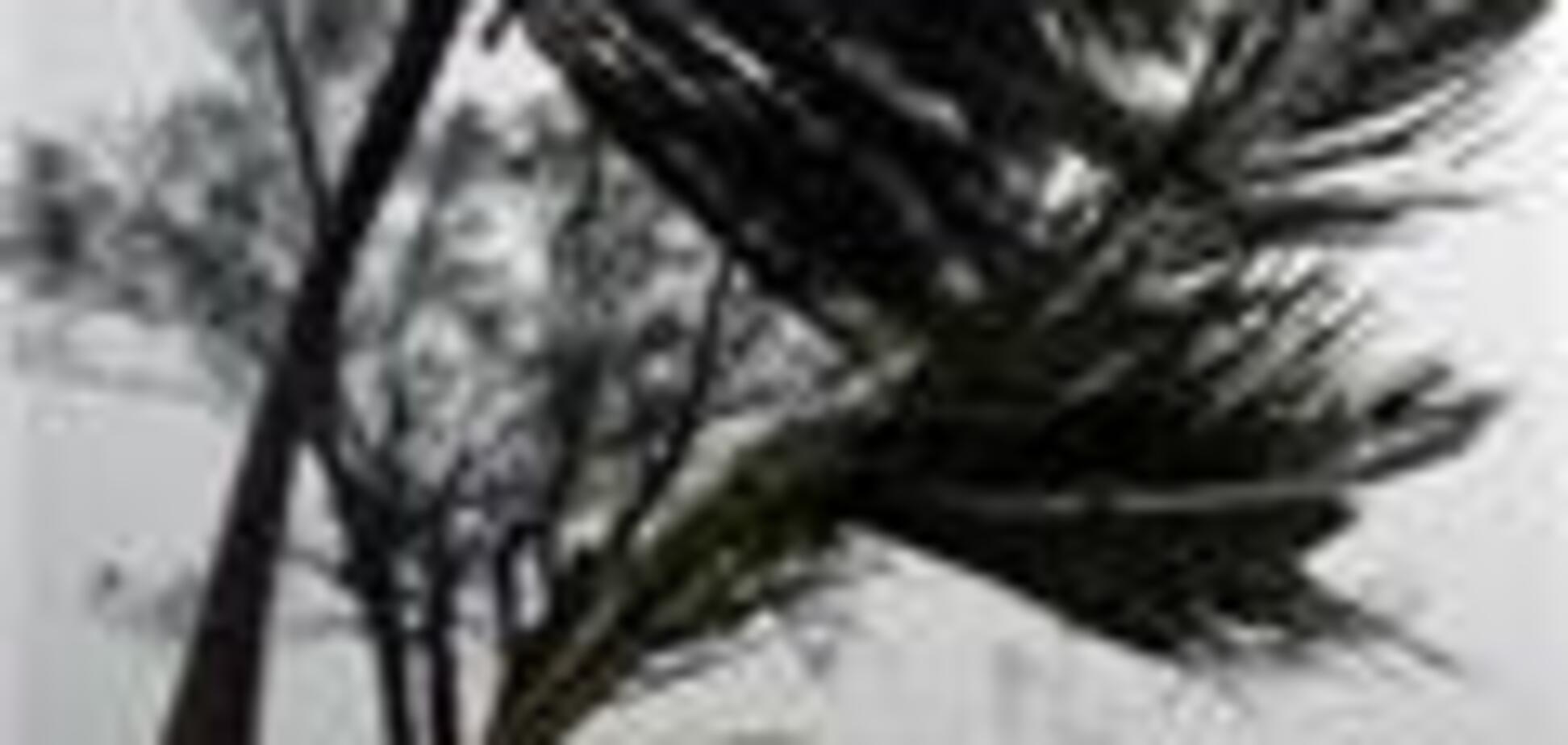 Ураган «Густав» достиг побережья США