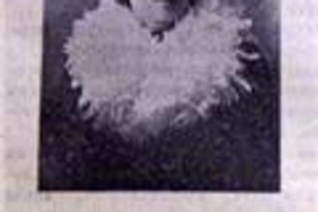 От «Ведомостей» к «Мамбе»