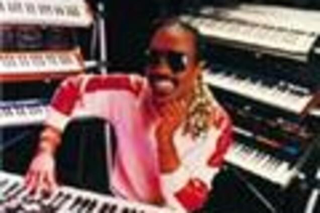 Американская библиотека наградит Стиви Уандера премией