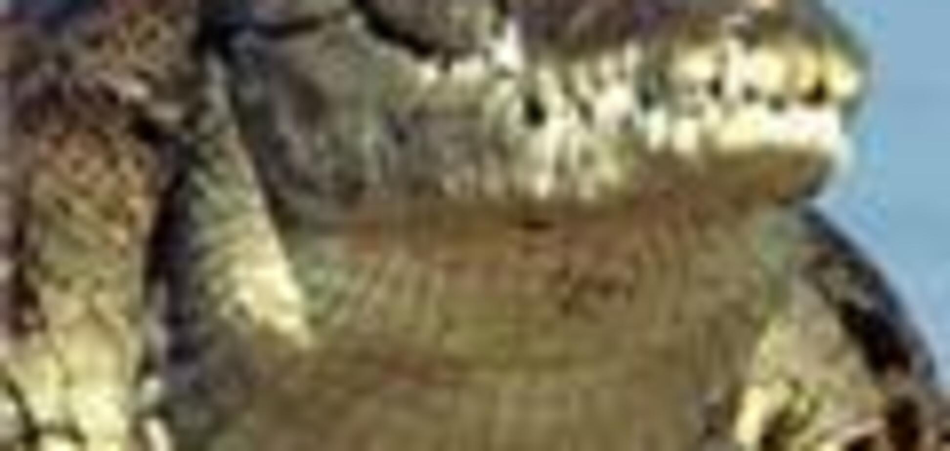 Бразильские наркобароны скармливали конкурентов крокодилам