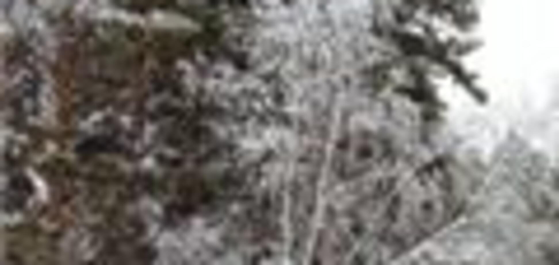 На севере Приморья обнаружены 40 потерявшихся охотников