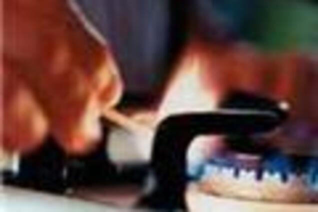 Чехия привлечет европейских экспертов к газовым переговорам