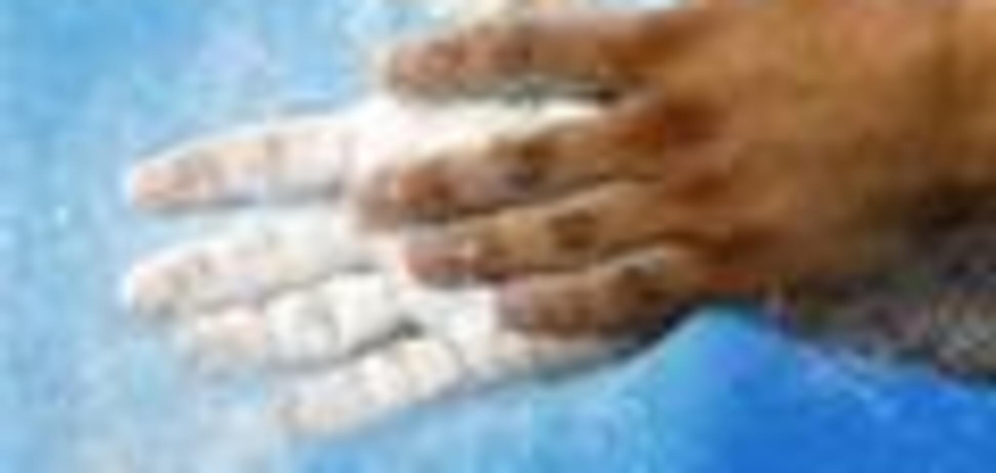 Медийному императору Мердоку прислали порошок в конвертах