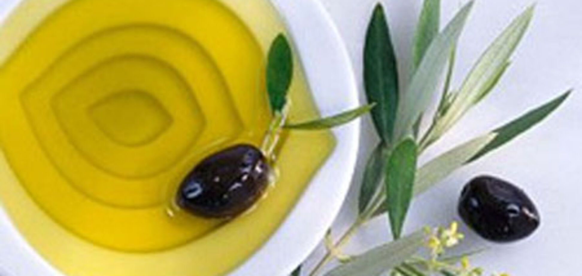 Лечебные свойства оливкового масла и оливок
