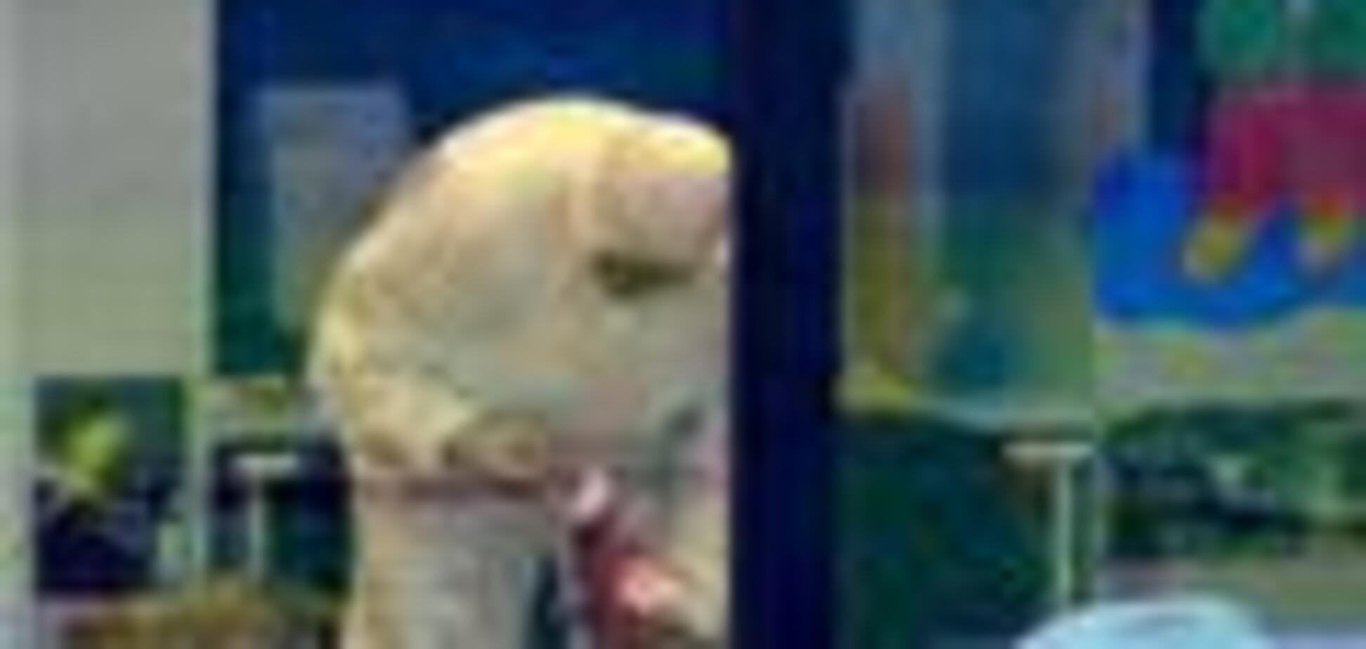 Вбивці дітей пред'явлено звинувачення в потрійному вбивстві