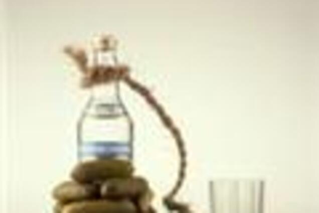 Во Львов из Донецка привезли много поддельной водки