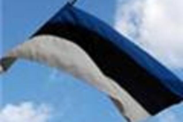 В Естонії негромадян безкоштовно навчать державної мови 
