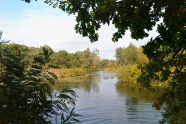 Чиновники пытались украсть остров