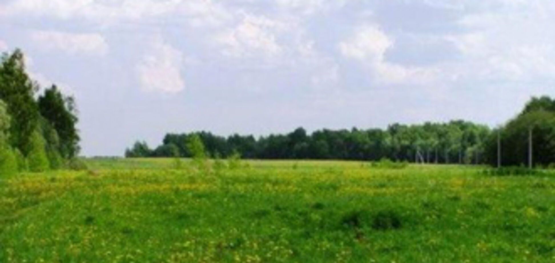 На Запорожчине попались 'на горячем' 2 земельных чиновника