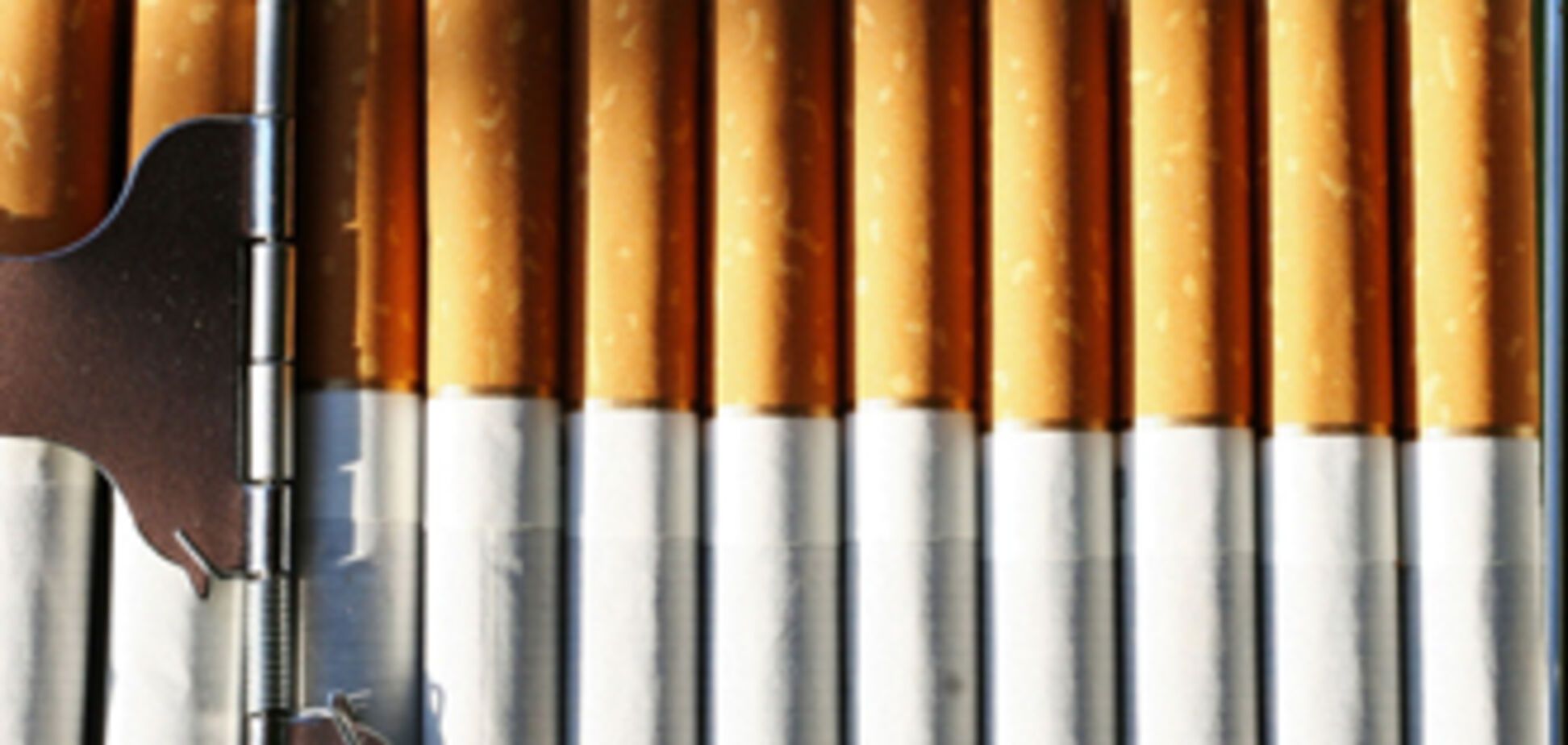 На Луганщине накрыли подпольный табачный завод