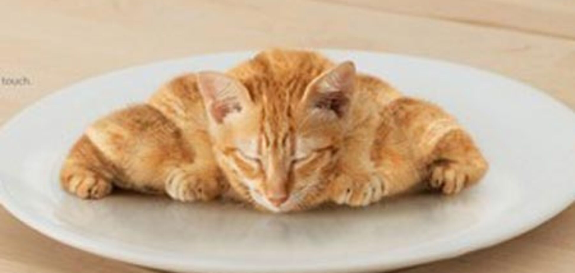 Мегакреатив