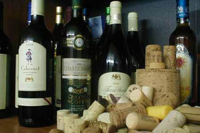Эльдорадо в бокале: топ-10 лучших чилийских вин