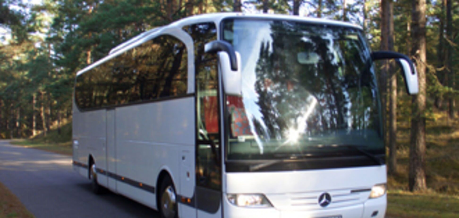 На Житомирщині ДТП: перекинувся автобус, 26 постраждали