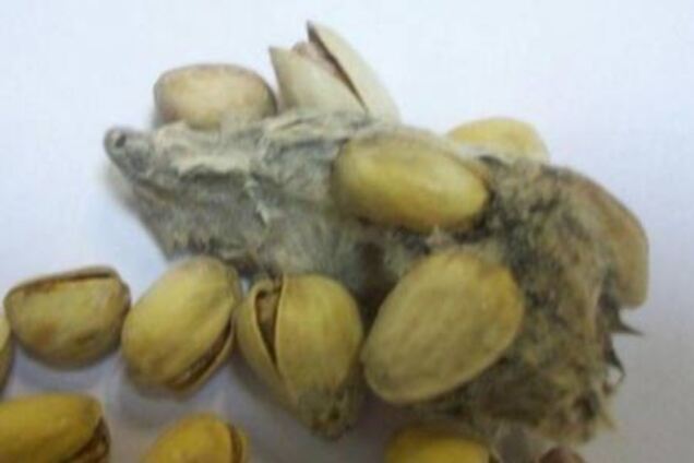 Вкусняшки на прилавках, особо впечатлительным не смотреть!